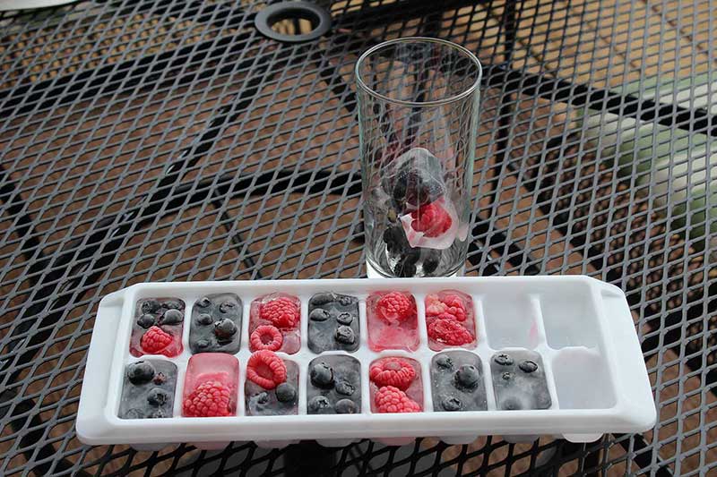 fruit ice cubes