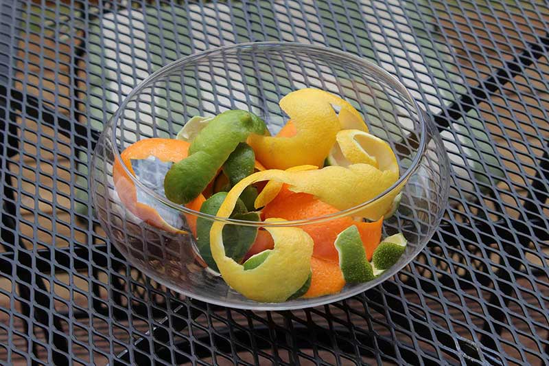 fruit peels in a bowl