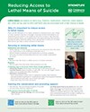 Preview of a handout to help reduce access to lethal means of suicide