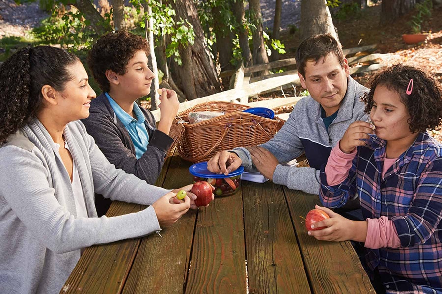 family talking during a picnic