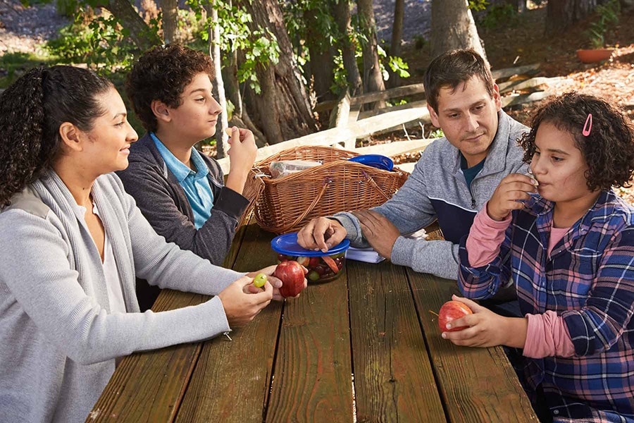 family talking during a picnic