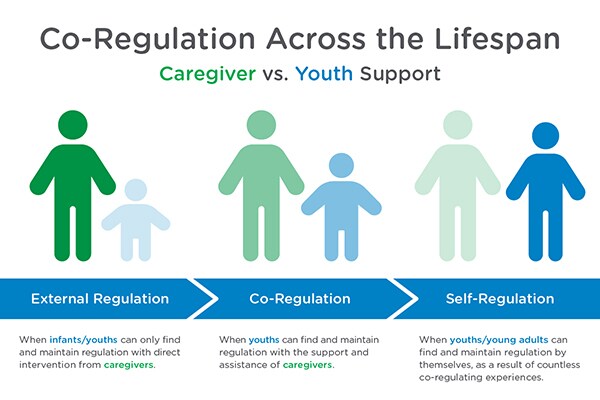 An infographic demonstrating co-regulation across the lifespan between a caregiver and a child