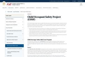 Screenshot of the Child Occupancy Safety Project on the Georgia DPH website