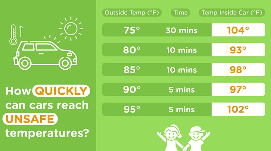 How quickly cars can reach unsafe temperatures