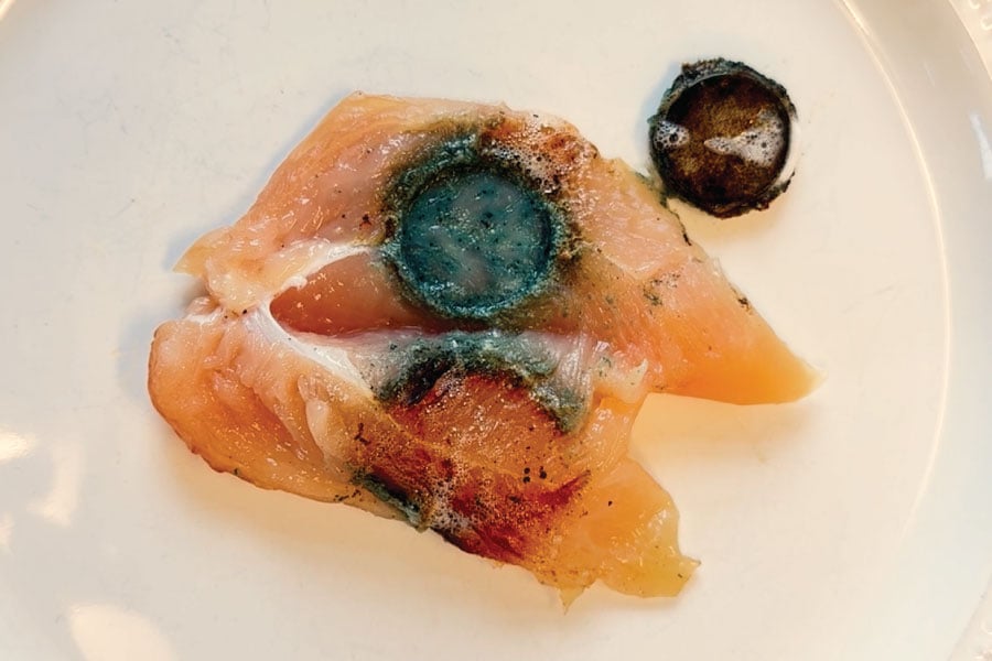 The acid burn visible in this piece of raw chicken shows why button batteries are so dangerous.