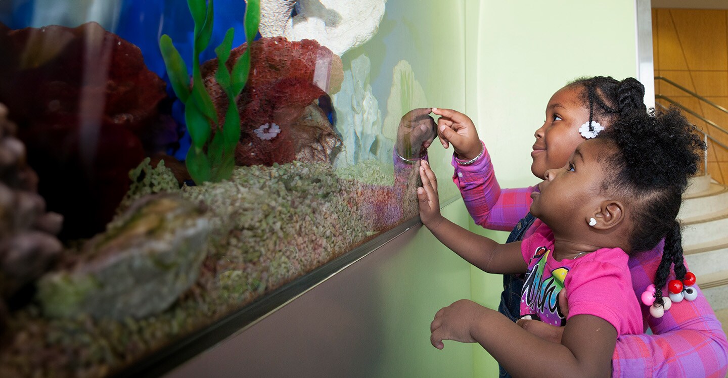 Smiling child volunteers looking at aquarium