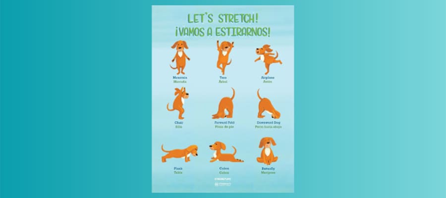 Illustrated poster of a dog doing nine different stretching poses, with the words "Let's Stretch!"